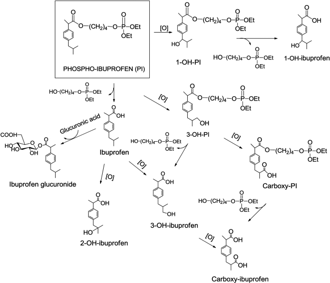 Fig. 8.