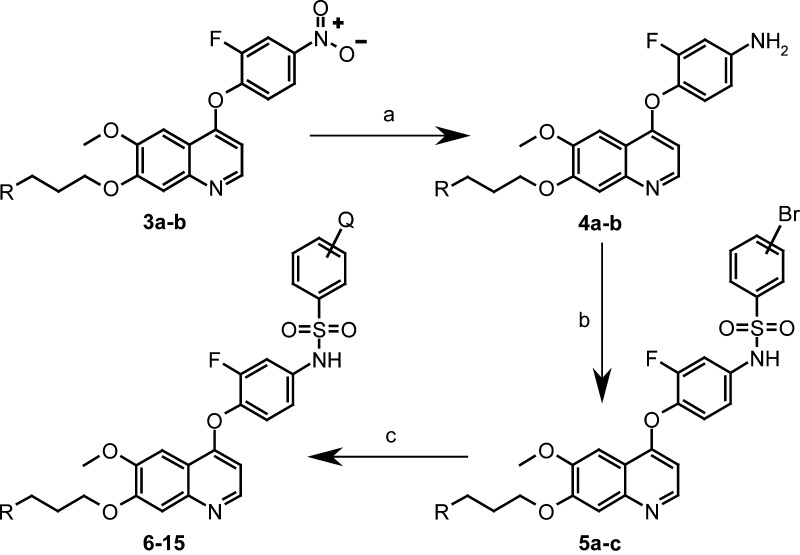 Scheme 1