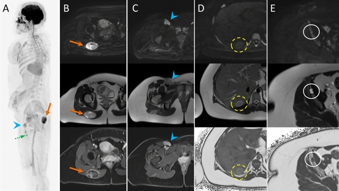 Fig. 3