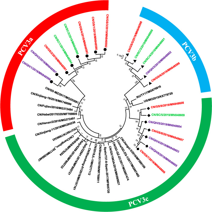 Fig. 3