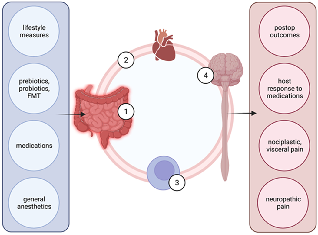 Figure 1: