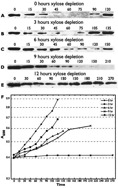 FIG. 5