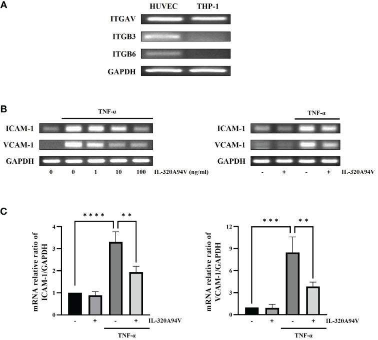 Figure 4