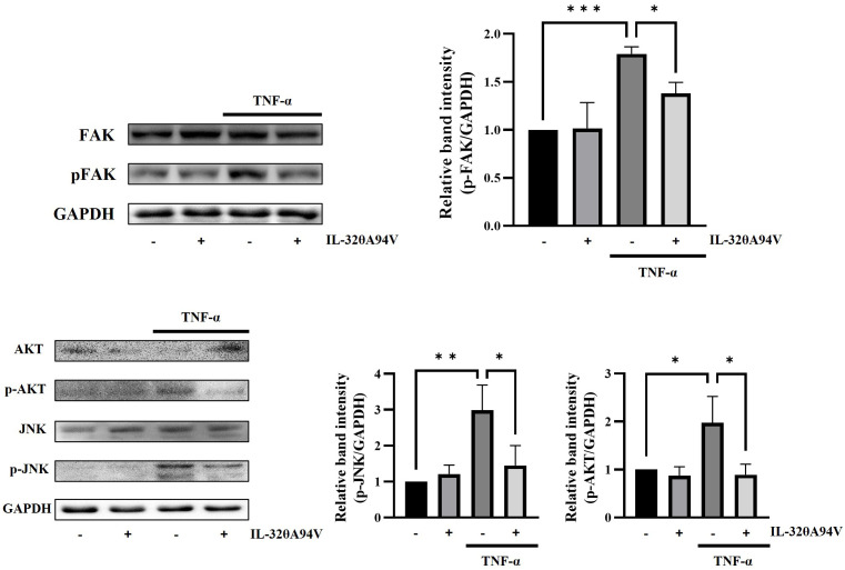 Figure 7