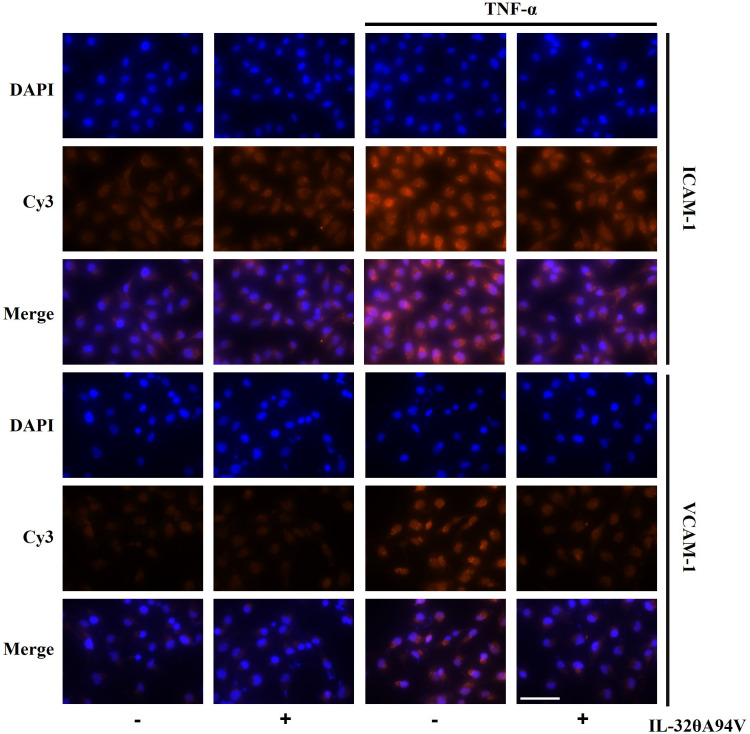 Figure 5