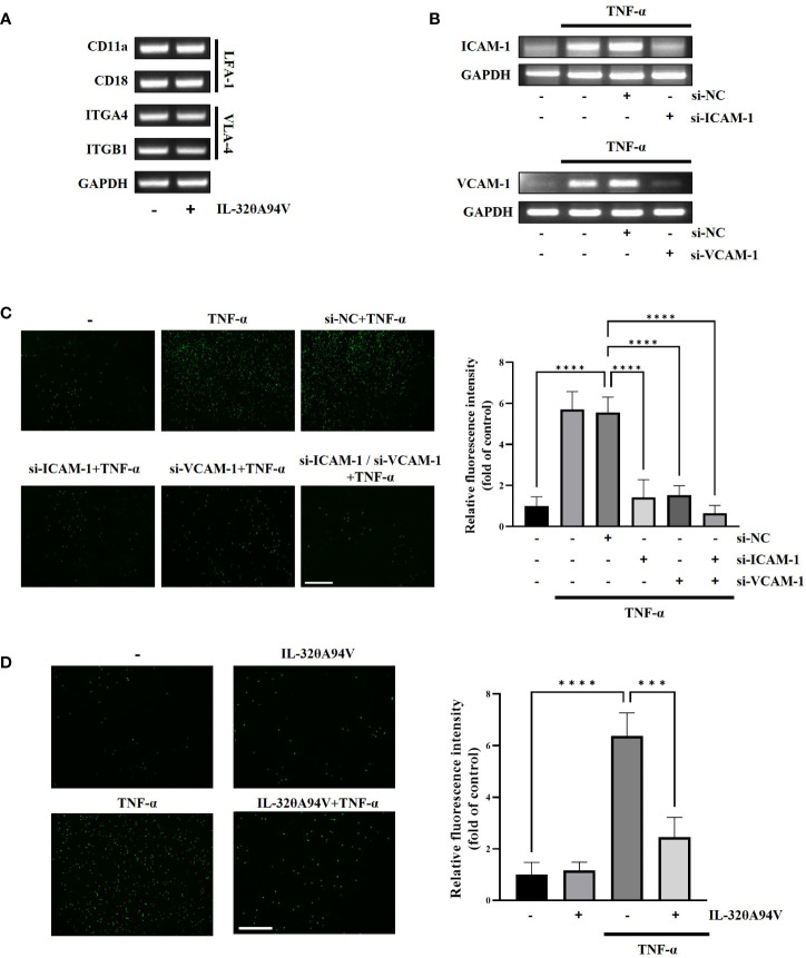 Figure 6