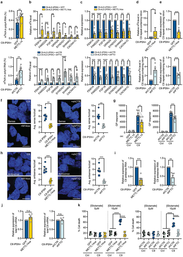 Fig. 6: