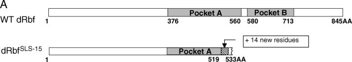 Figure 1.—