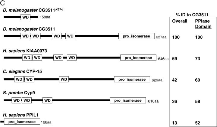 Figure 4.—