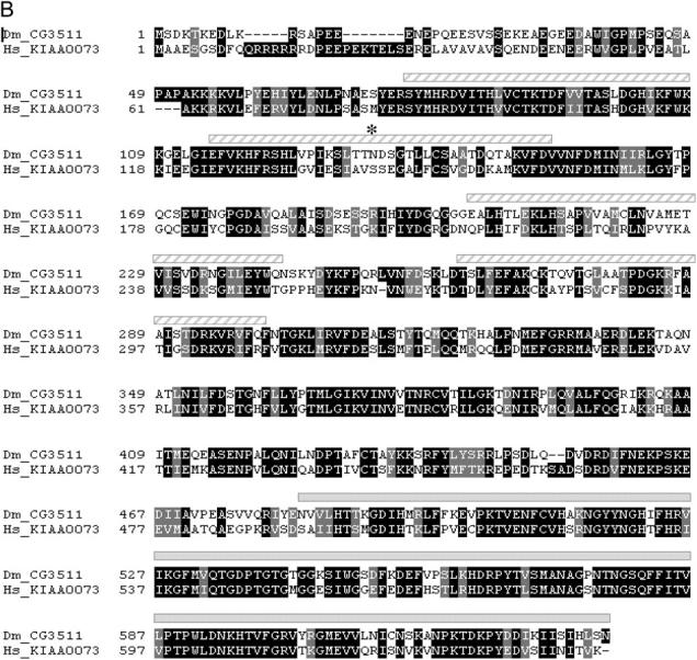 Figure 4.—