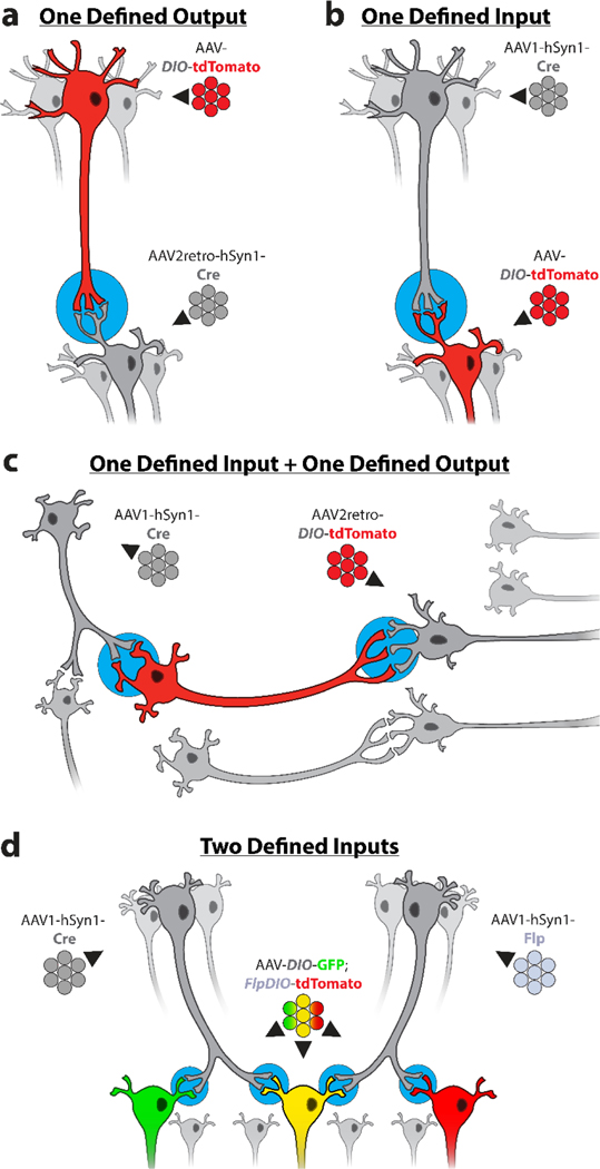 Figure 1.