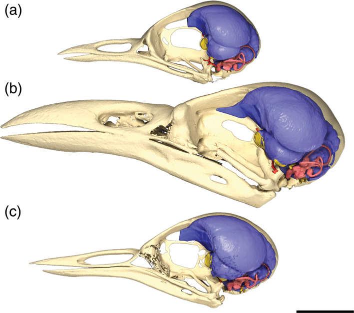 FIGURE 20