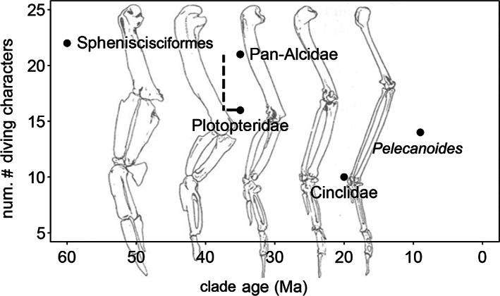 FIGURE 23