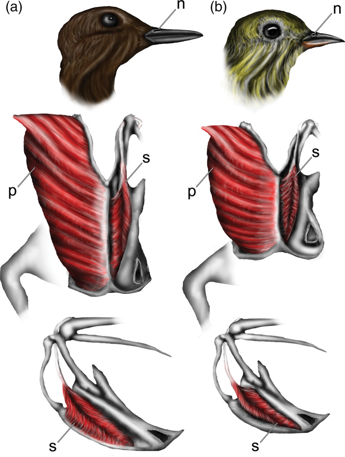 FIGURE 15