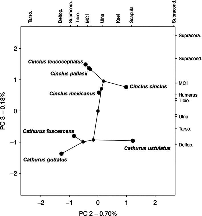 FIGURE 16