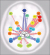 Figure 3Connectivity analysis