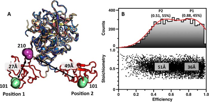 FIGURE 7.