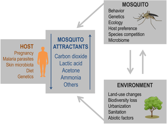 Fig. 3