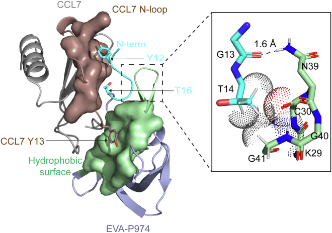 Figure 5