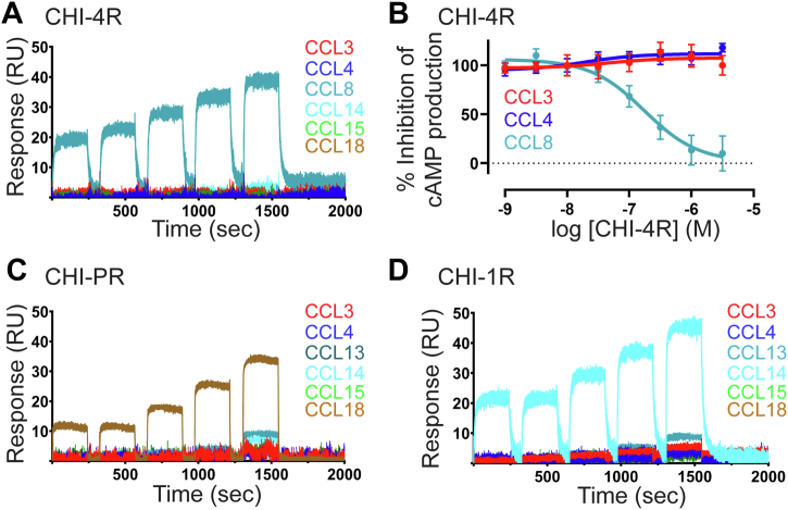 Figure 4