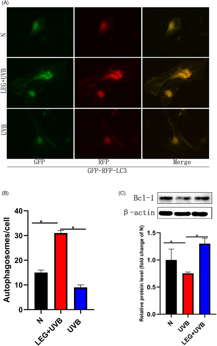 FIGURE 4