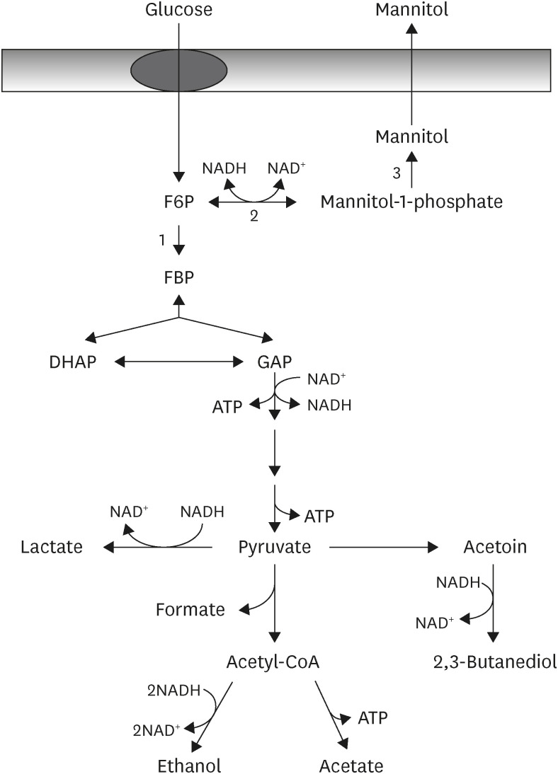 FIGURE 2