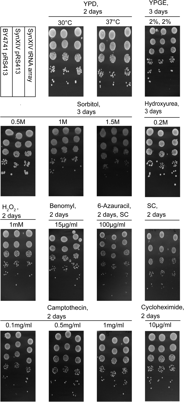 Figure 5