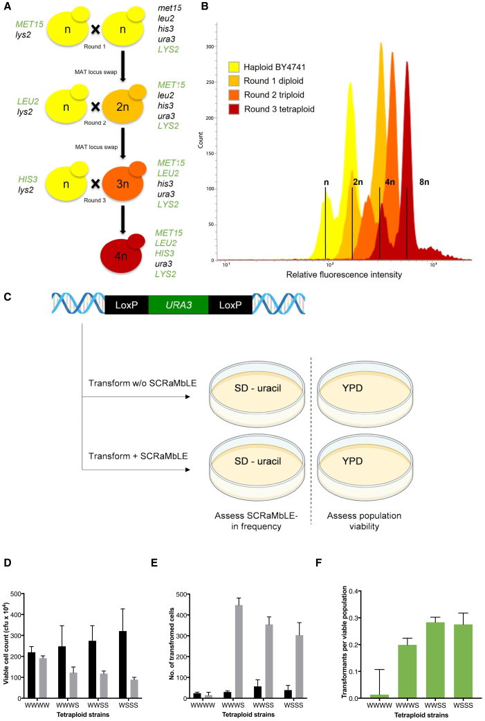 Figure 7