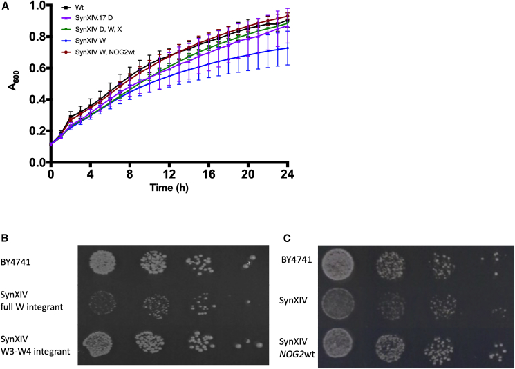 Figure 4