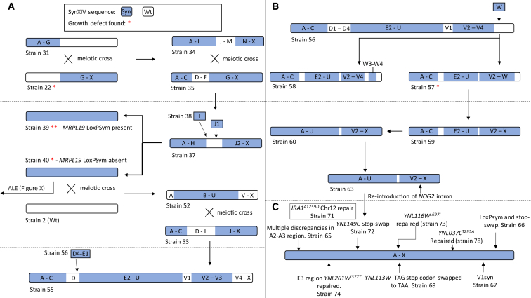 Figure 1