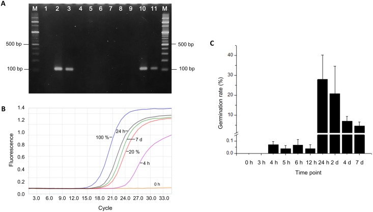 Fig 6