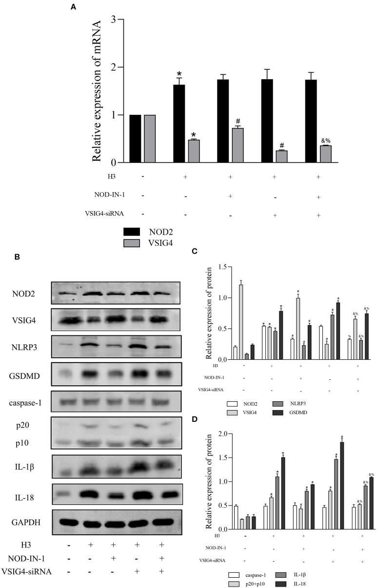 Figure 4