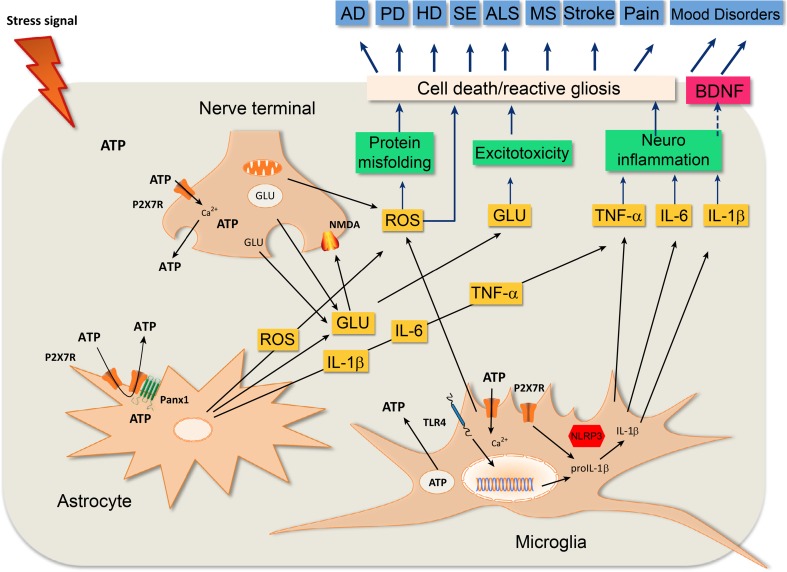 Fig. 3