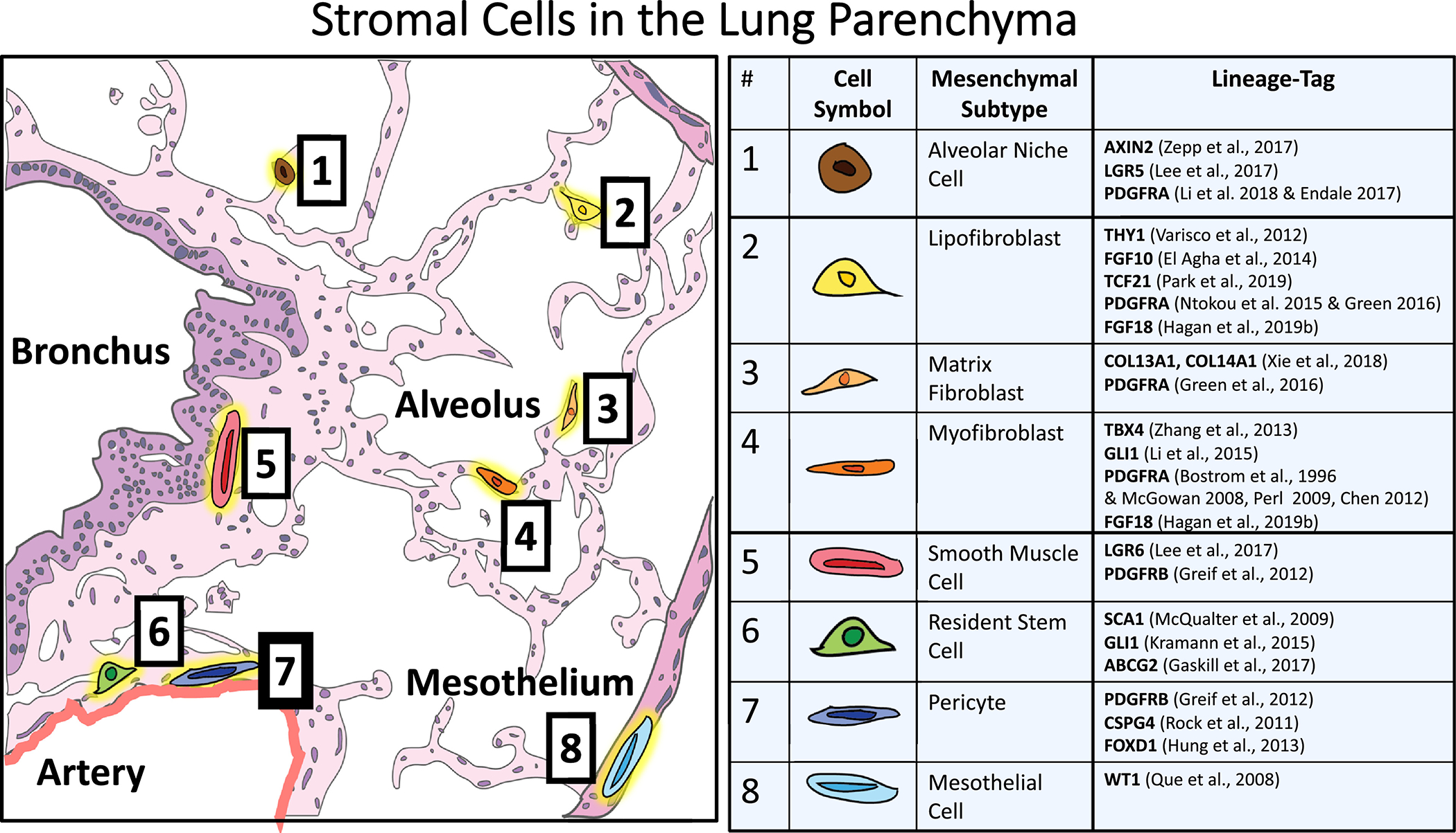 Figure 1-