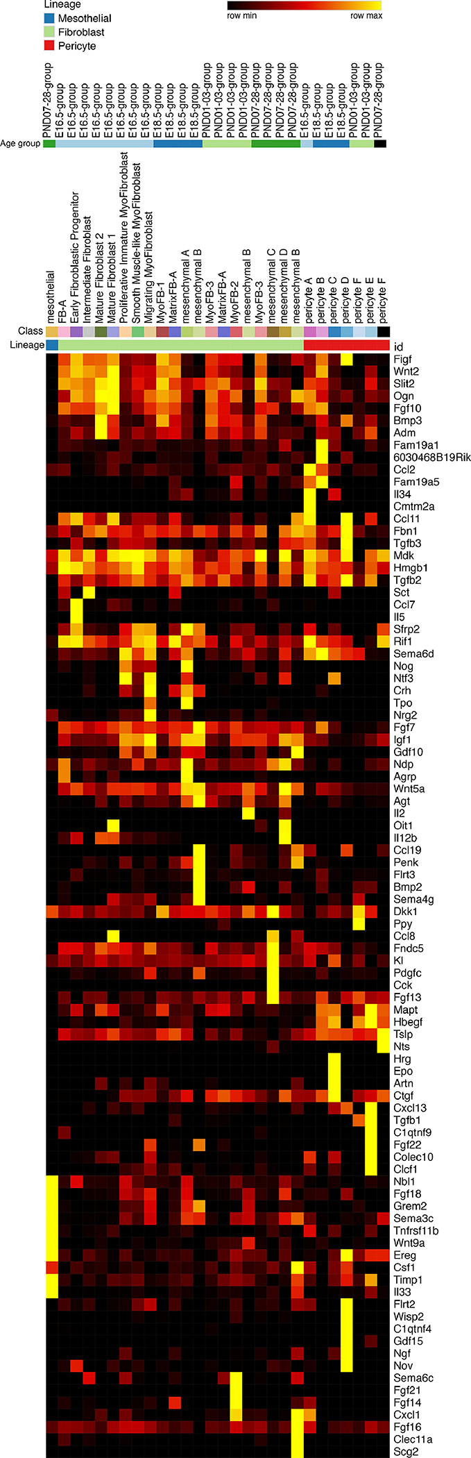 Figure 4: