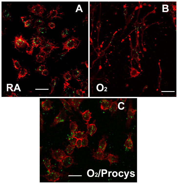 Fig. 11