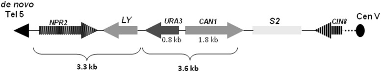 Figure 1.