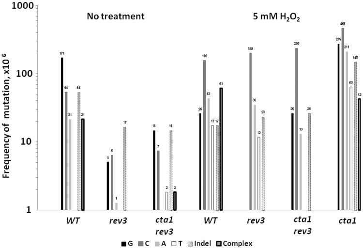 Figure 5.