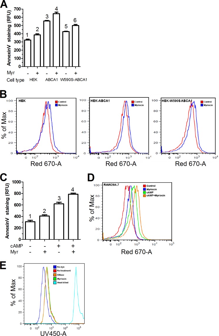 FIGURE 5.