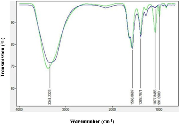 Figure 5