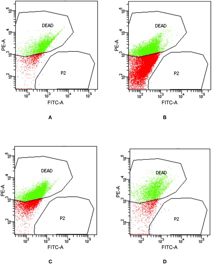 Figure 11