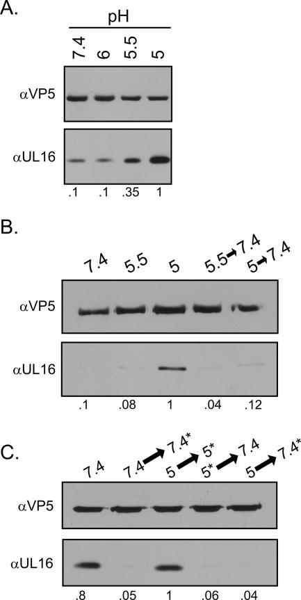 FIG. 5.