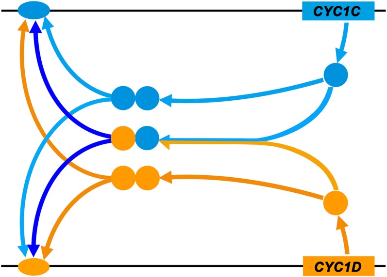 Figure 8.