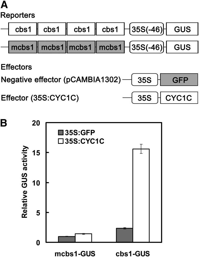 Figure 7.