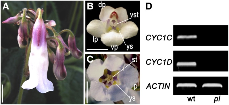 Figure 3.