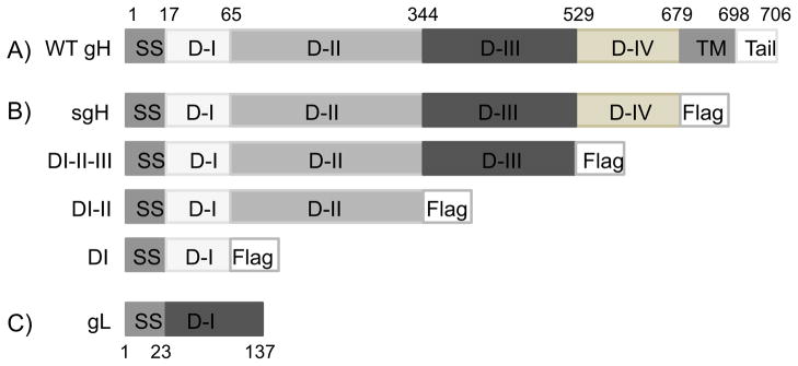 Fig. 1