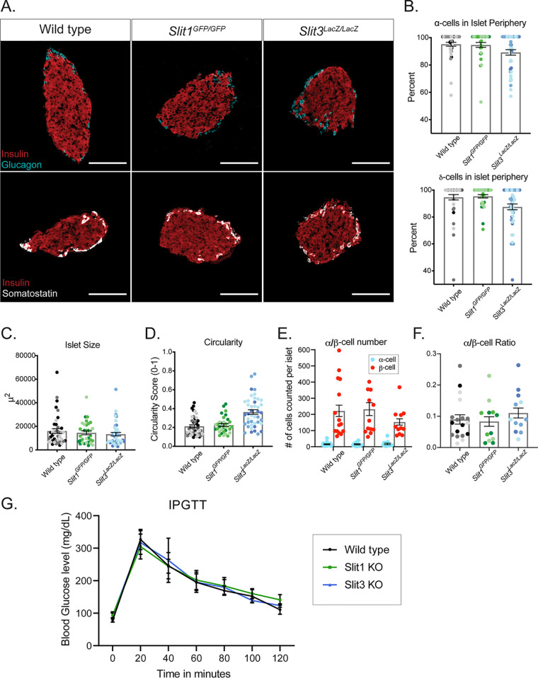 FIG 3