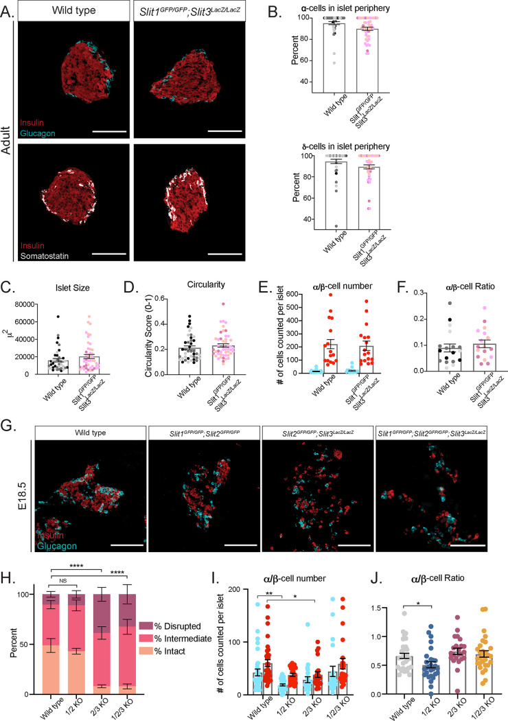 FIG 6