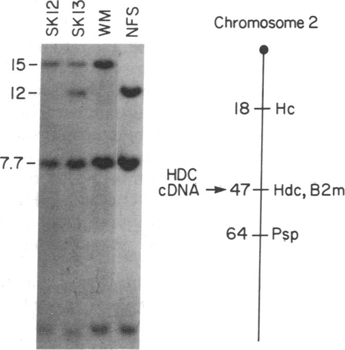 graphic file with name pnas01027-0241-a.jpg