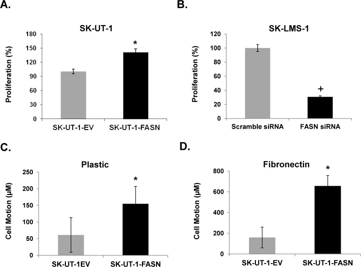 Fig 5